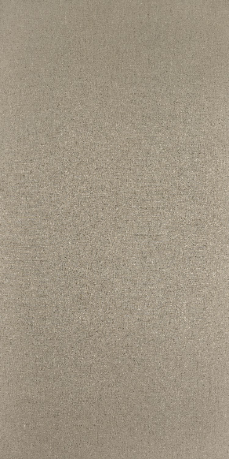 Formica Cora